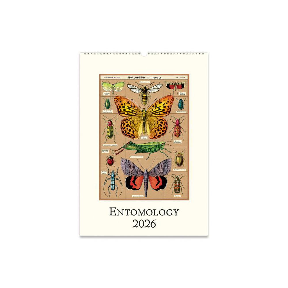 Cavallini, Calendars, Art & School, 2026, Wall style, Entomology, 933089